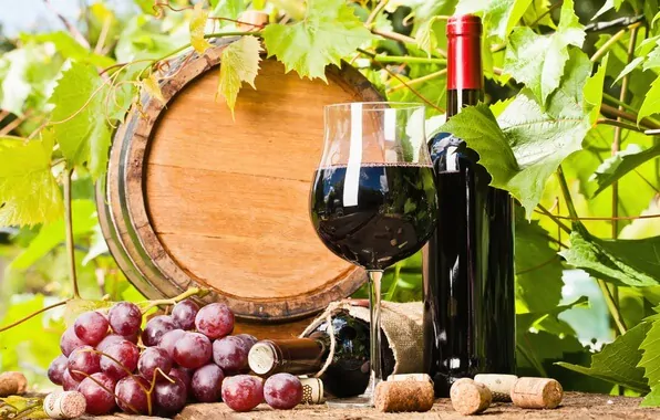 Nhắc đến các loại rượu vang nổi tiếng trên thế giới không thể bỏ qua Rượu vang Ý với chút mãnh liệt và nồng cháy