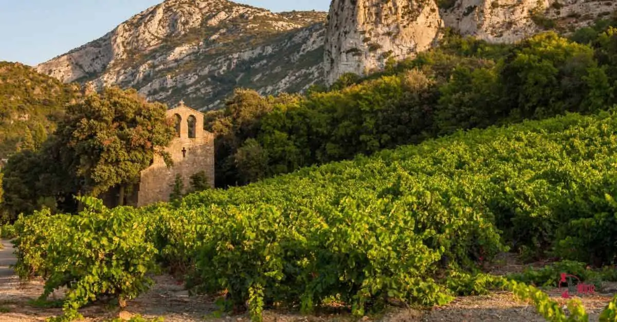 Vùng Languedoc ở phía nam Pháp