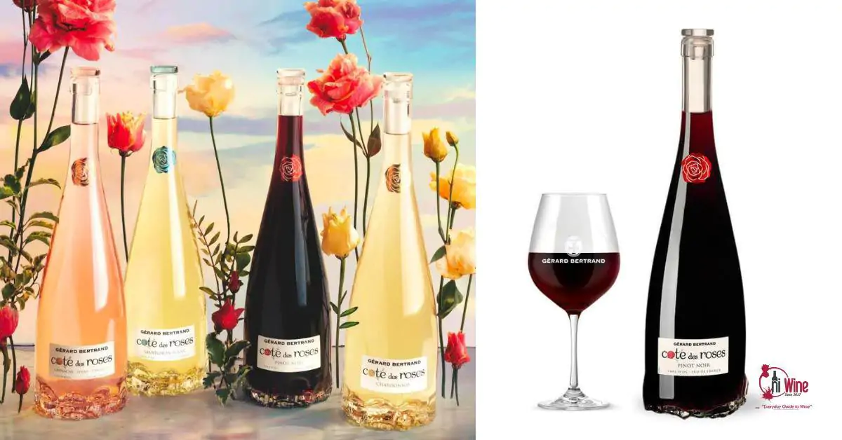 Rượu vang chát Gérard Bertrand Côte des Roses Pinot Noir.