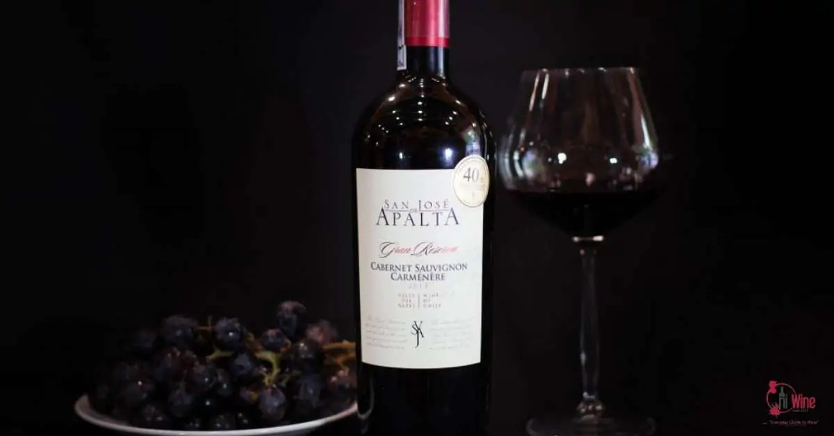 Chile Apalta Gran Reserva là loại rượu vang ngon dưới 500k